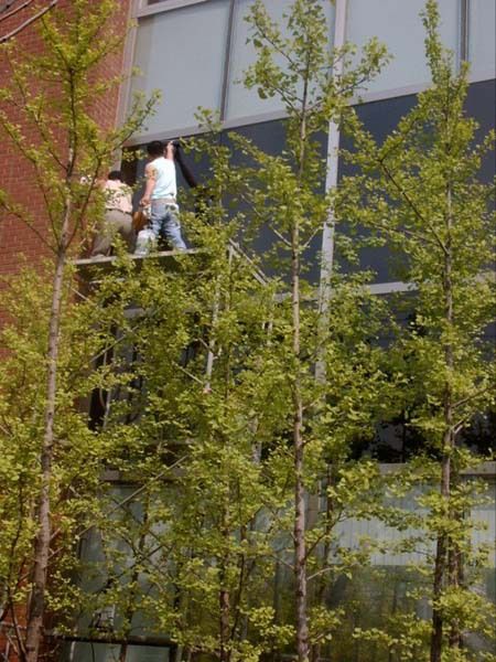 당산 신용보증기금(단열필름시공)