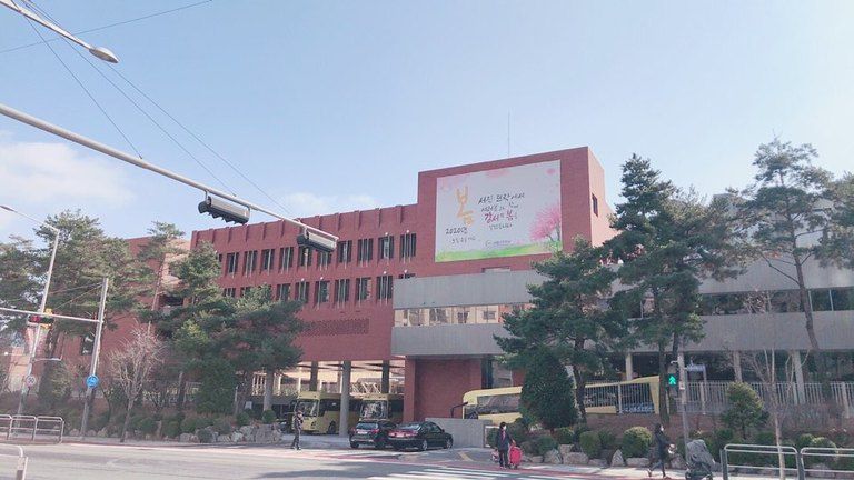 강서구 서진학교 전체 칼라패턴프린트시트지,엠보 시공
